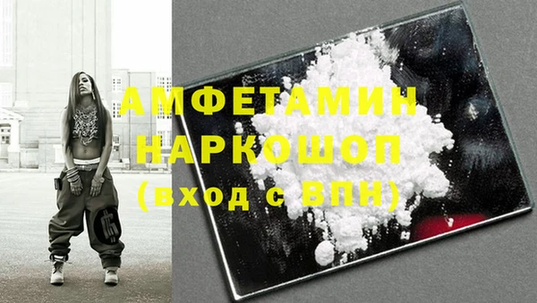 сатива Аркадак