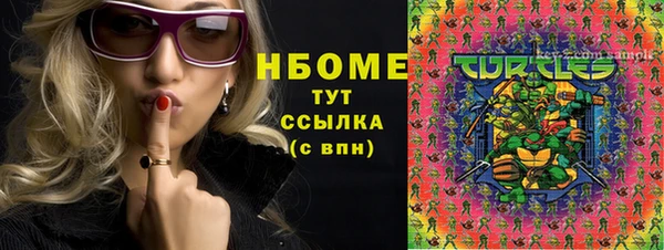 сатива Аркадак