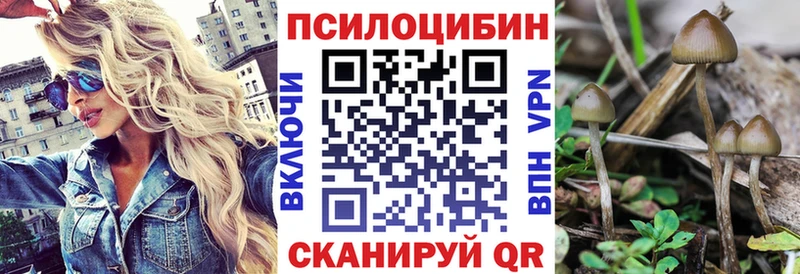 наркота Усть-Кут Галлюциногенные грибы Psilocybine cubensis